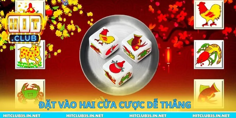 Đặt vào hai cửa cược dễ thắng