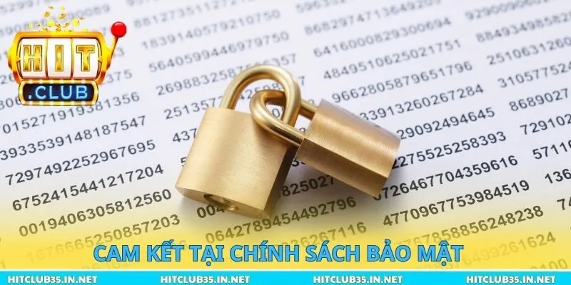 Cam kết tại chính sách bảo mật
