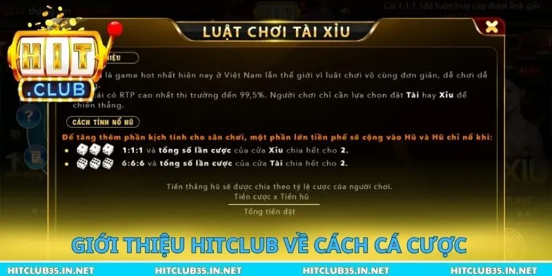 Giới thiệu Hitclub về cách cá cược